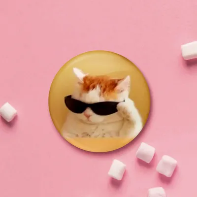 Значок \"Мем кот в очках\" - Зан-Зан | Иностранные сладости и подарки