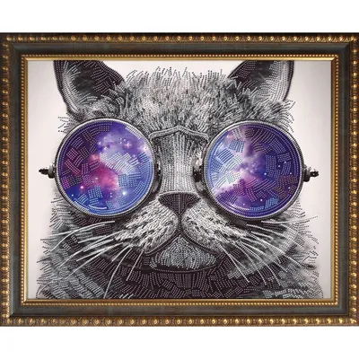 Картинки кот очках Морда Бантик Животные белым фоном