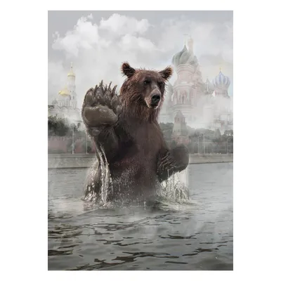 Бурый медведь на фоне карты СССР Векторное изображение ©GUARDING 167503468