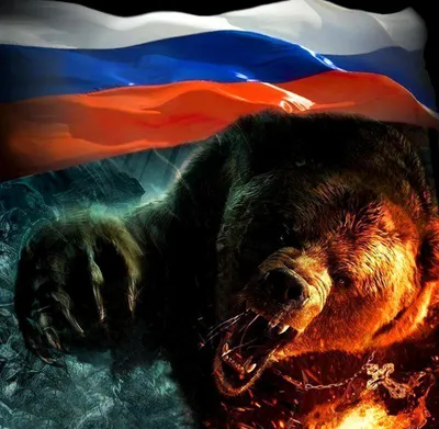 Футболка \"Русский медведь\" Флаг России, медведь, флаг, животные,  вымышленный персонаж png | PNGWing