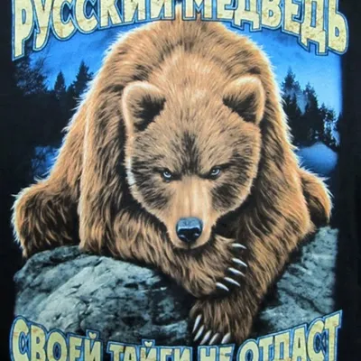 ᐉ Флаг России с медведем: купить напрямую от производителя | INARI