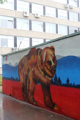Баннер в виде российского медведя Московского талисмана, 60 х90 см |  AliExpress