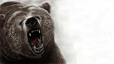 Медведь с балалайкой рисунок - 57 фото