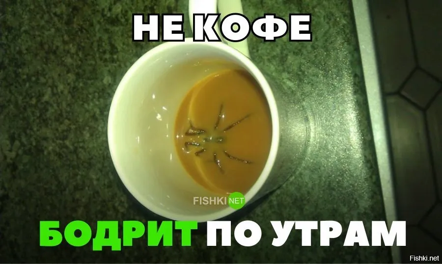 ох не кофе бодрит по утрам｜TikTok Search