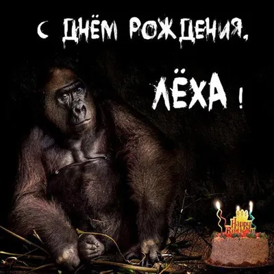 С днём рождения, Алексей! - YouTube