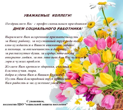 Поздравление с Днем социального работника от Главы Волгодонского района  С.В. Бурлака