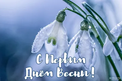 С первым днем весны: красивые поздравления и открытки к 1 марта - Афиша  bigmir)net