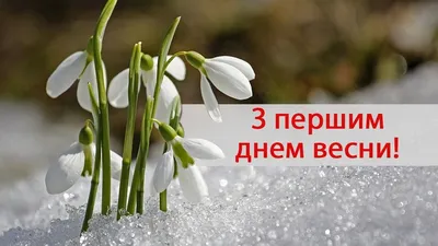 прикольные картинки с первым днем весны｜Поиск в TikTok
