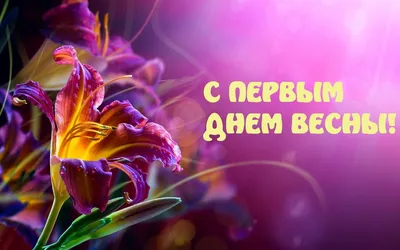 1 марта. С первым Днем весны и Днем кошек! - Ошколе.РУ