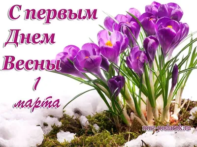 Алгол ПК » С первым днём Весны!
