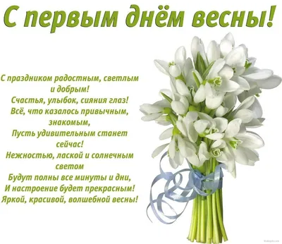 С первым днём весны! — letsgostudy