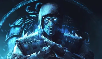 Костюм Скорпион Саб Зиро Рептилия: купить костюмы из игры Mortal Kombat в  интернет магазине Toyszone.ru