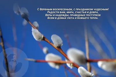 Вербна неділя: про особливі дні напередодні Великодня говоримо із  священником – Володимирець.Сity: Вісник Полісся