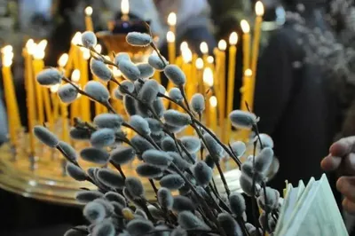 Вербна неділя: символіка та значення для християнства | mefodiy.org.ua