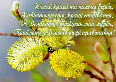 Вербна неділя-2022: традиції і прикмети - Останні та актуальні новини  України та світу, новини дня онлайн - Україна Молода