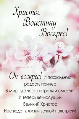 ХРИСТОС ВОИСТИНУ ВОСКРЕС! | Едем на юга | Дзен