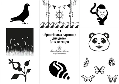 Черно-белые картинки для новорожденных, 20 карт, 0+ цена, купить Черно-белые  картинки для новорожденных, 20 карт, 0+ в Минске недорого в интернет  магазине Сима Минск