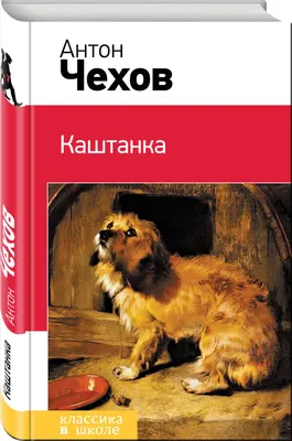 Каштанка. Рассказы, Чехов Антон Павлович купить по низким ценам в  интернет-магазине Uzum