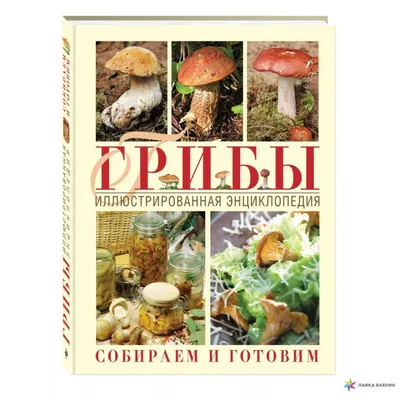 Каталог грибов украины с картинками фотографии