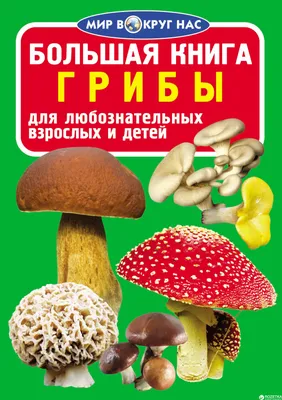 Полная энциклопедия грибов, , купить книгу 978-5-386-03235-7 – Лавка  Бабуин, Киев, Украина