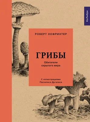 Какие грибы собирать и как не отравиться - съедобные и несъедобные -  основные отличия и фото - грибной сезон в Украине