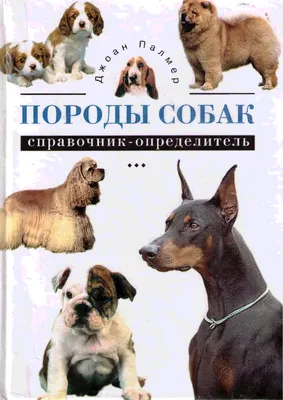 Породы собак с фотографиями и названиями по алфавиту. Каталог пород. -  PetsMan