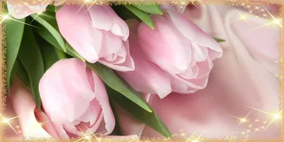 Катя! С 8 марта! Красивая открытка для Кати! Анимационная картинка. Гиф.  Букет белых шикарных роз, подарки и воздушные шарики на золотом фоне!  Блестящая открытка!