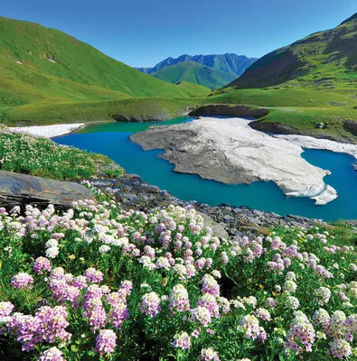 За чем туристы едут осенью на Кавказ и сколько стоит отдых | Ассоциация  Туроператоров
