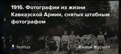 Описание Кавказа с кратким историческим описанием Грузии - купить с  доставкой по выгодным ценам в интернет-магазине OZON (148992665)