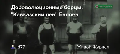 Очерк кустарных промыслов Северного Кавказа с описанием техники  производства купить | Каталог антикварных и старинных подарочных книг  BuyaBook