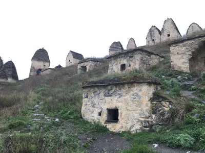 СКФУ стал партнером Всероссийского фестиваля «Кавказские игры» в Ставрополе  - АТВмедиа