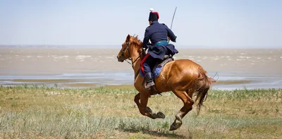 Донские казаки и запорожцы