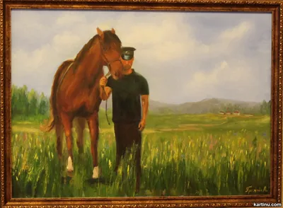 Картинки: лошади и люди Донского края *** Live photo-don.