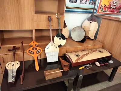 Уникальные казахские музыкальные инструменты представлены на выставке в  краеведческом музее | Алау ТВ