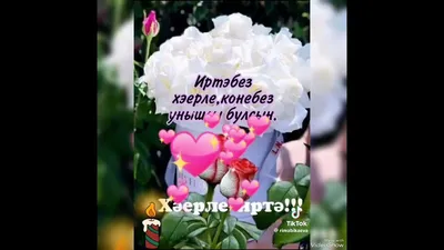 Хәерле иртә белән, дуслар!... - Татары и Татарочки | Facebook