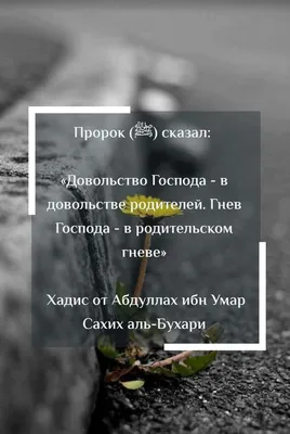 Сборник достоверных хадисов Кудси \"И было сказано\" ЧИТАЙ-УММА 72086007  купить за 996 ₽ в интернет-магазине Wildberries