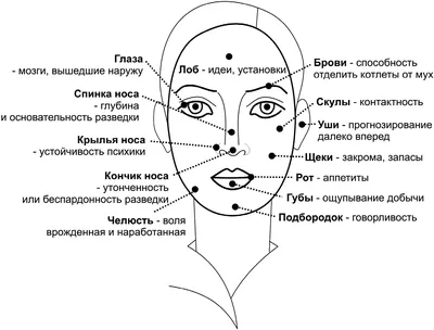 Читай лица! Специальная методика чтения лиц и эмоций - Филатова Светлана ::  Режим чтения