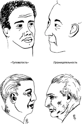 Читай лица! Специальная методика чтения лиц и эмоций - Филатова Светлана ::  Режим чтения