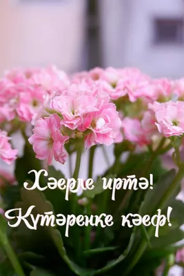 Пин от пользователя Rashida на доске открытки на татарском | Открытки,  Доброе утро