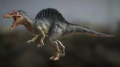 Хищные динозавры картинки фотографии