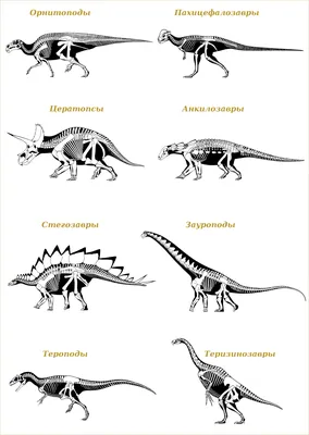 Фотообои Хищные динозавры купить в Оренбурге, Арт. 12-1123 в  интернет-магазине, цены в Мастерфресок
