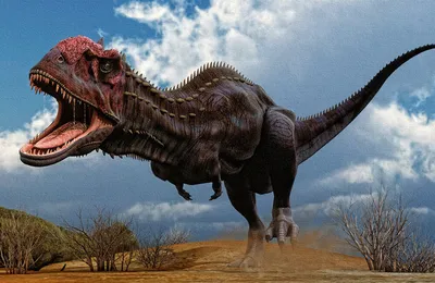 Решена загадка гигантских динозавров-хищников: Наука: Наука и техника:  Lenta.ru