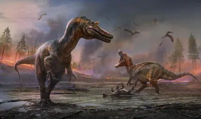 Самые хищные динозавры – список, названия, когда жили, описание, фото и  видео - Научно-популярный журнал: «Как и Почему»