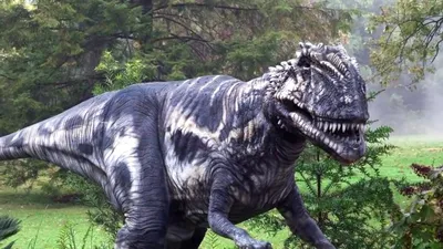 Все хищные динозавры с крупными буквами - МНОГОКНИГ.lv - Книжный  интернет-магазин