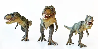 XGL: Набор Хищные динозавры S: заказать по доступной цене в Алматы, Астане,  Казахстане | Интернет-магазин Meloman