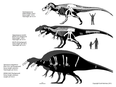 Книга Все хищные динозавры с крупными буквами - купить с доставкой в  интернет-магазине О'КЕЙ в Москве