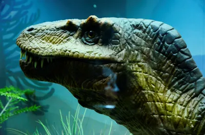 Ученые выяснили, почему хищные динозавры вырастали такими огромными