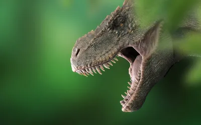 XGL: Набор Хищные динозавры J: купить по доступной цене в Алматы,  Казахстане | Интернет-магазин Marwin