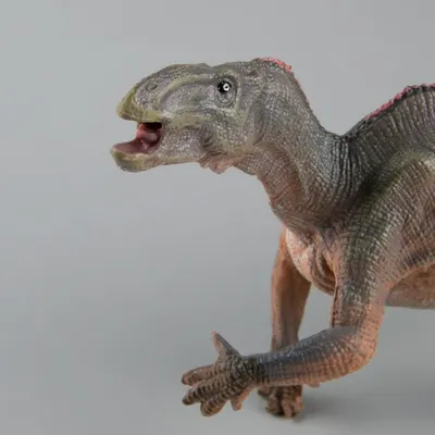 Хищные динозавры-тетануры бегали со скоростью до 45 километров в час