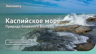 Отдых на море в России 2024: лучшие места с ценами и отзывами